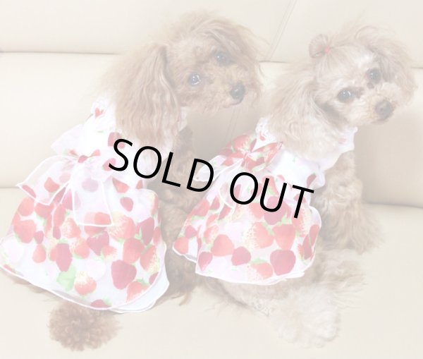 画像5: いちごオーガンジーワンピース (5)