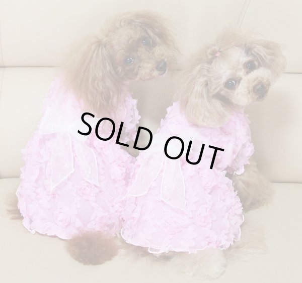 画像5: 薔薇チュールレースワンピース (5)