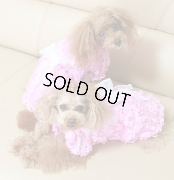 画像8: 薔薇チュールレースワンピース (8)