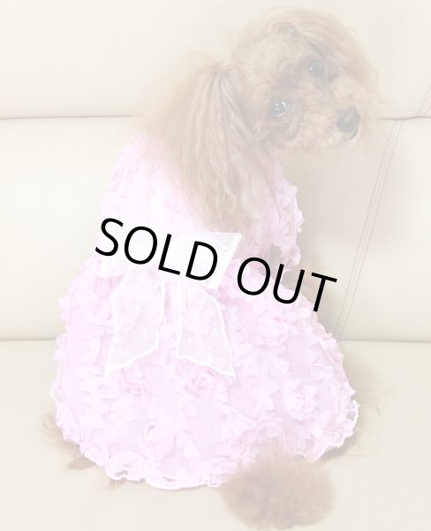 画像7: 薔薇チュールレースワンピース (7)