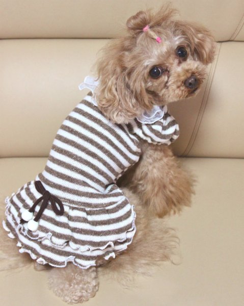 画像8: ジャズネップボーダーワンピース (8)