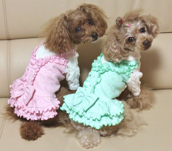 画像7: アランニット＆パステルワンピース (7)