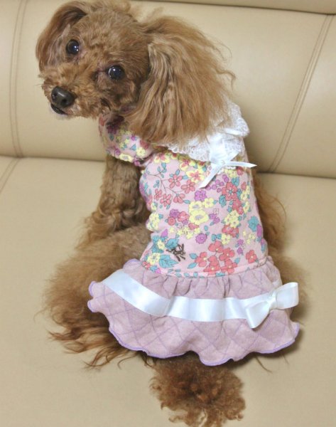 画像6: フルーツカッシェモア柄ワンピース (6)