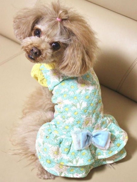 画像12: たんぽぽ＆デージーワンピース (12)