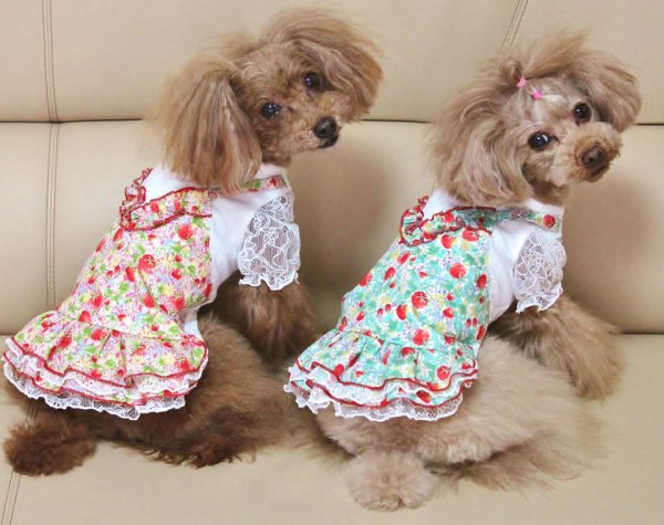 画像6: いちごオールワンピース (6)