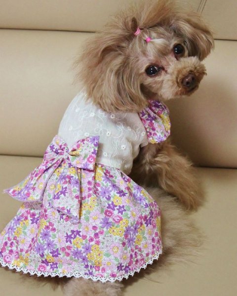 画像5: お花畑ワンピース (5)