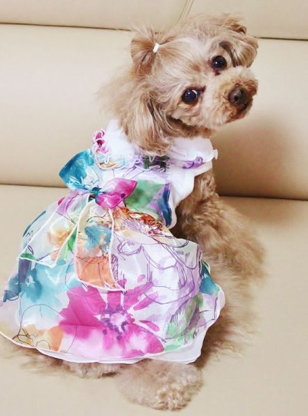 画像10: 手書き風お花ワンピース (10)