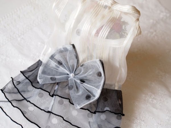 画像3: 透け感のある清楚なワンピース (3)