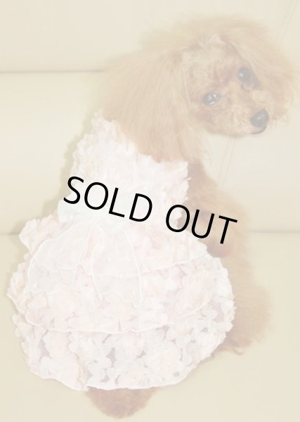 画像3: 立体薔薇　サーモンピンクワンピース (3)