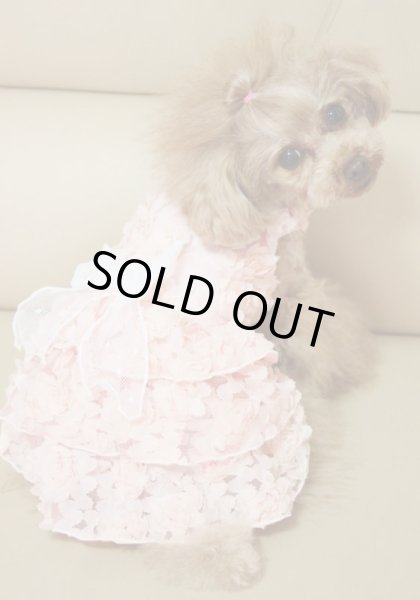 画像4: 立体薔薇　サーモンピンクワンピース (4)