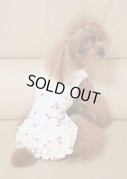 画像5: いちごワンピース (5)