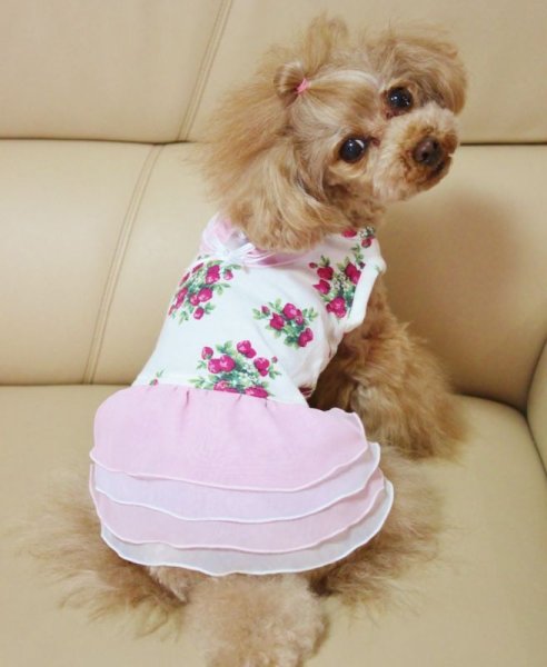 画像4: フルーツブーケワンピース (4)