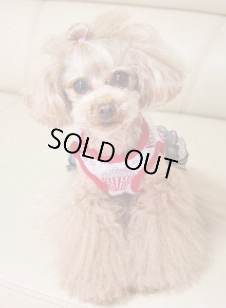 画像6: ポップコーン、タンク/ワンピース (6)