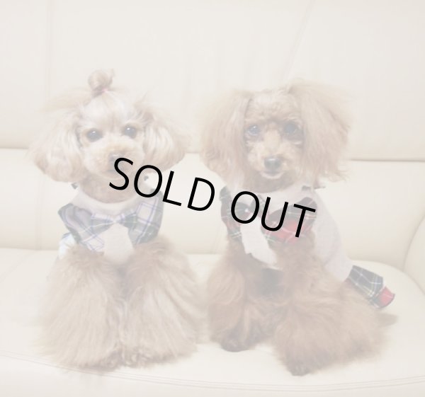 画像10: チェック＆ハニカムドットジャガードワンピース (10)