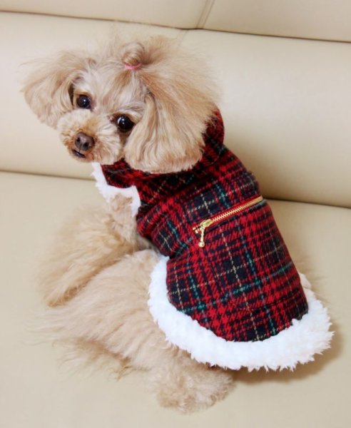 画像6: スコッチチェック　ボアコート (6)