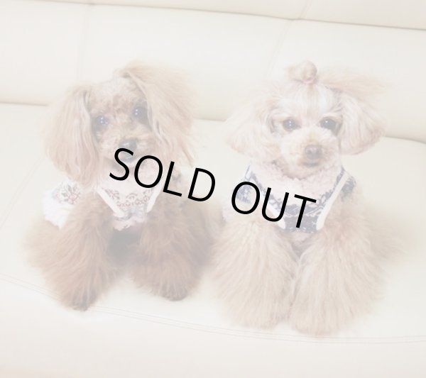 画像6: SNOW柄ジャガードセーター (6)