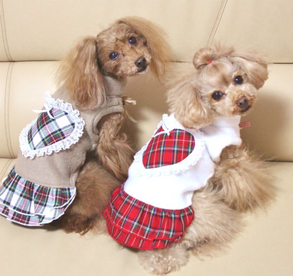 画像5: フリース＆チェックワンピース (5)