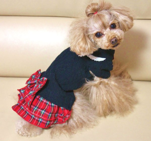 画像9: アランニット＆チェックワンピース (9)