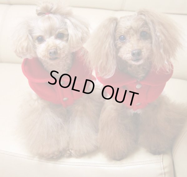 画像7: 魅惑の赤ボアコート (7)