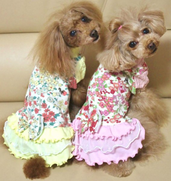 画像13: フルーツカシェモア柄ワンピース (13)