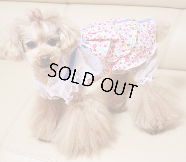 画像9: コットンボイルホワイト＆お花ワンピース/オールインワン (9)