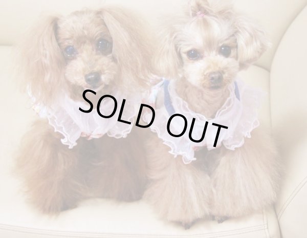 画像10: コットンボイルホワイト＆お花ワンピース/オールインワン (10)