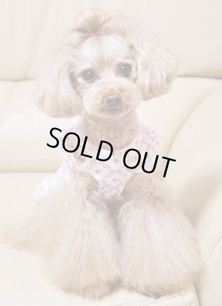 画像5: いちご＆お花チェックワンピース (5)