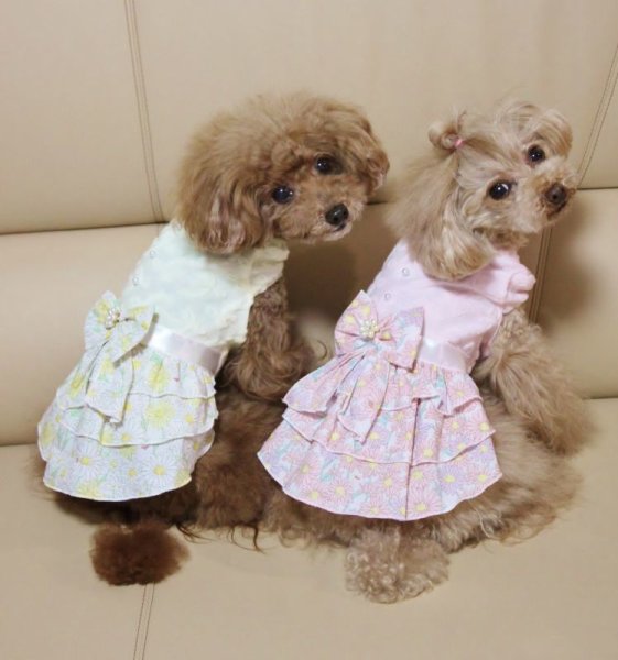 画像15: デージーワンピース (15)