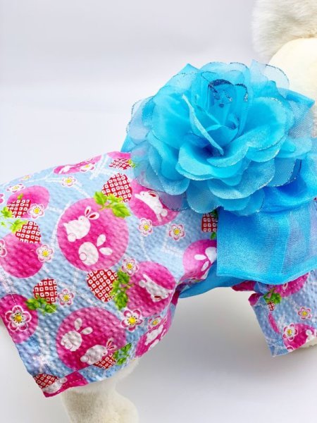 画像11: 浴衣2019 うさぎ (11)