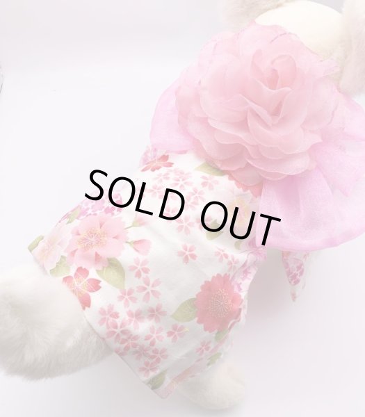 画像5: 浴衣2019 蝶とお花 (5)