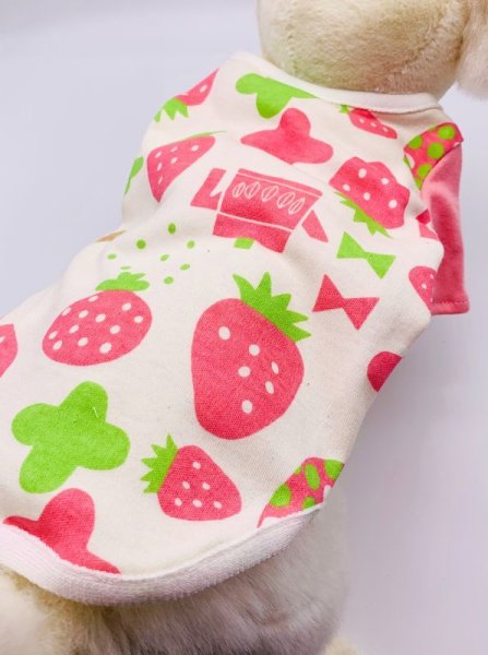 画像5: いちご＆キッチンT (5)