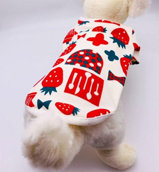 画像4: いちご＆キッチンT (4)