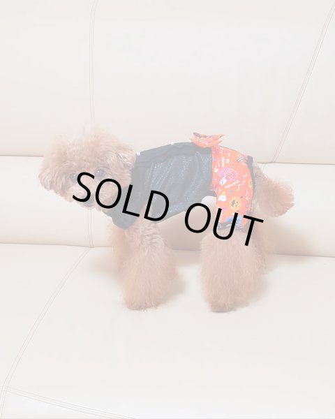 画像7: ハロウィンオールインワン (7)