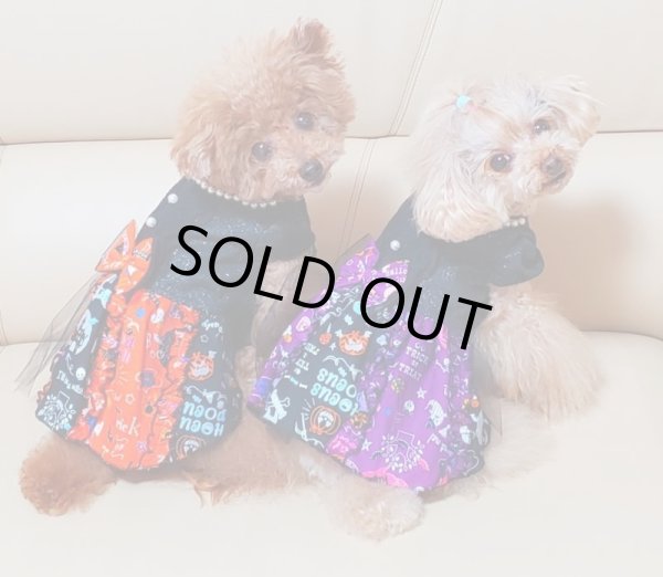 画像10: ハロウィンワンピース TypeB (10)