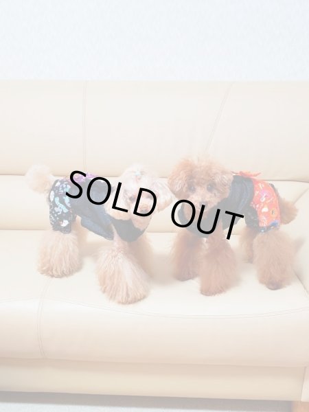 画像6: ハロウィンオールインワン (6)