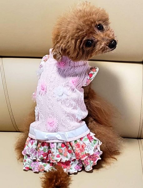 画像4: アランニット＆赤ピンクお花ワンピース (4)