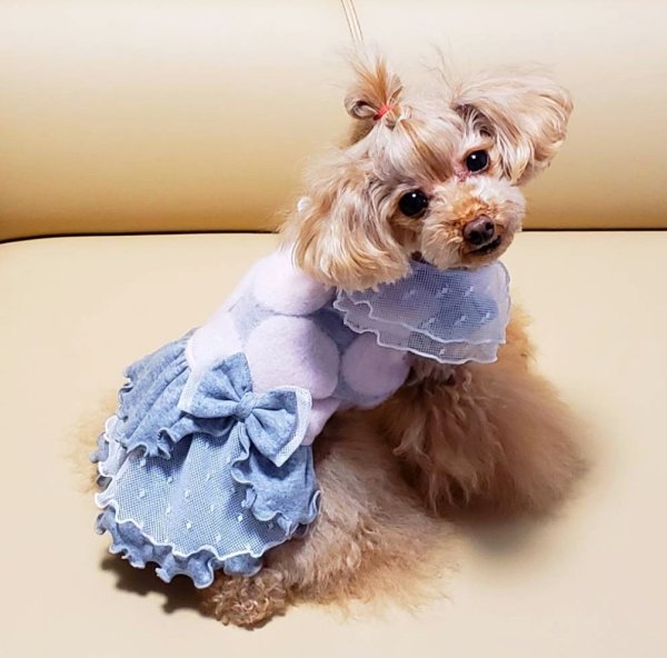 画像6: モナドットふわワンピース　ピンク (6)