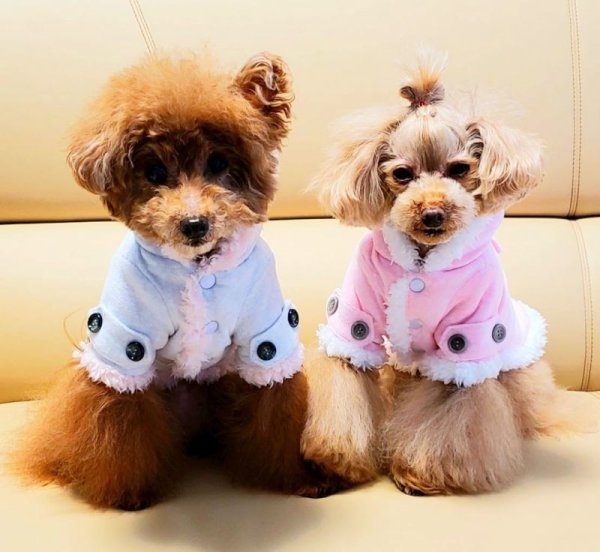 画像7: ベロア＆ボアコート (7)