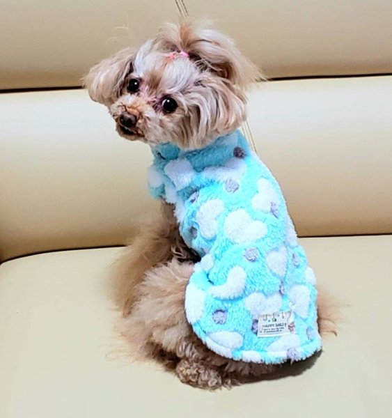 画像10: ふわハートワンピース／スエット (10)