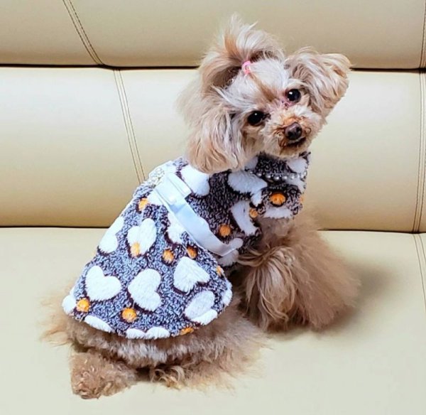 画像9: ふわハートワンピース／スエット (9)