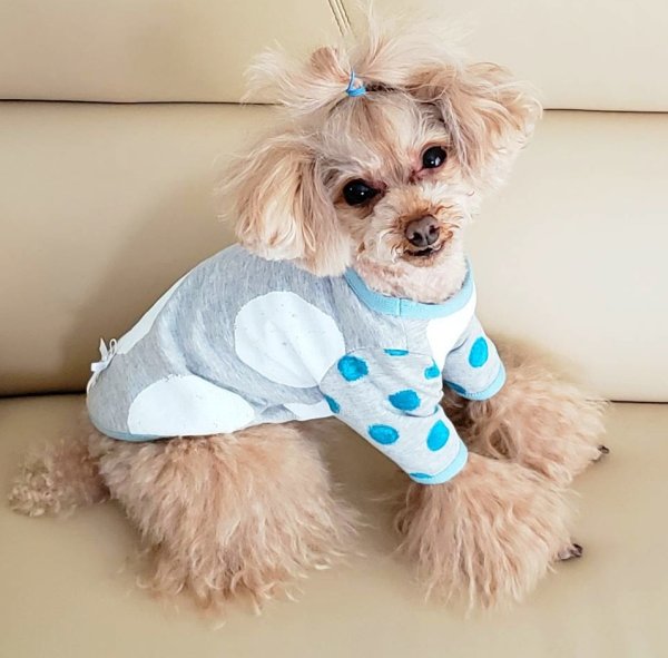 画像12: クレヨンドットTシャツ (12)