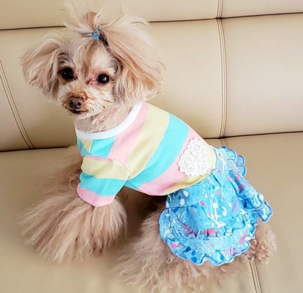 画像6: POPボーダー&デニムワンピース/オールインワン (6)