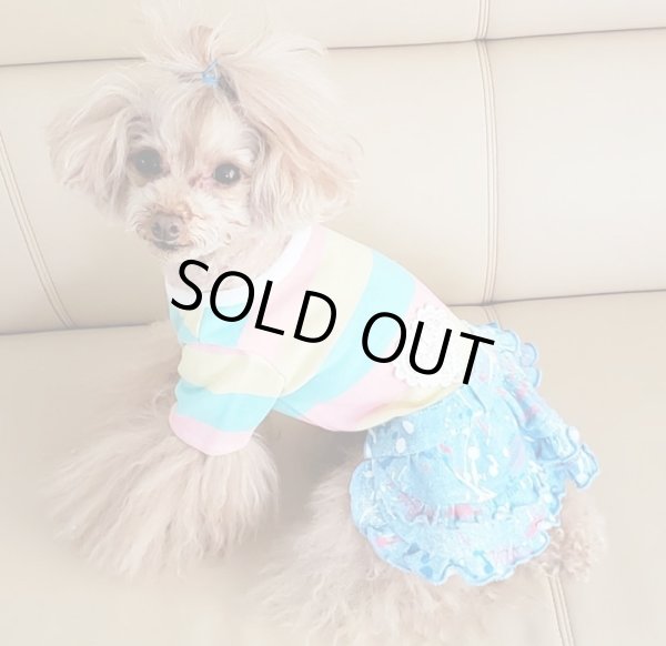 画像6: POPボーダーオールインワン (6)