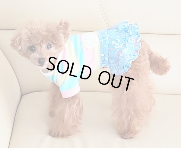 画像7: POPボーダーオールインワン (7)