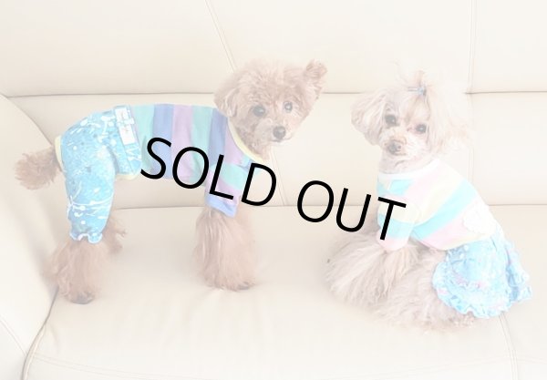 画像5: POPボーダーオールインワン (5)