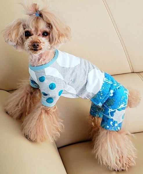 画像6: クレヨンドットオールインワン、ワンピース (6)