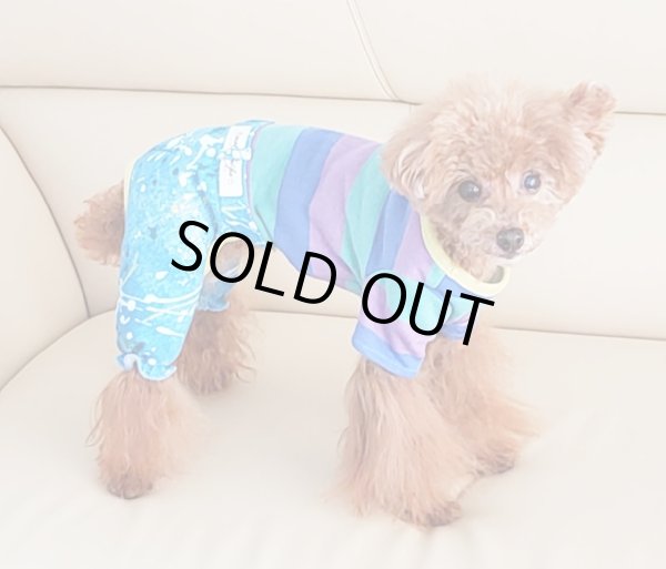 画像8: POPボーダーオールインワン (8)