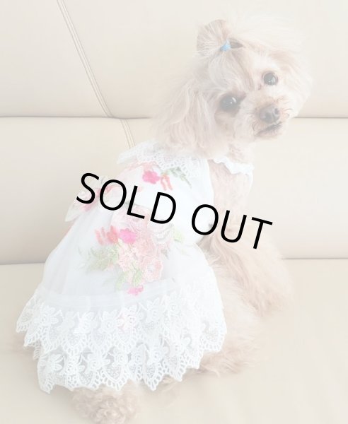 画像11: 薔薇刺繍＆チュールレースワンピース (11)