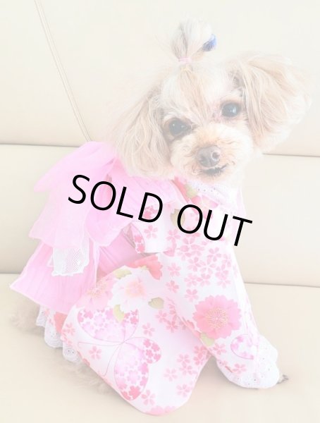 画像8: 浴衣2020 さくら蝶々 (8)