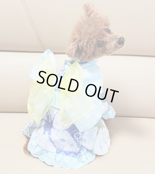 画像8: 浴衣2020 しぼり (8)